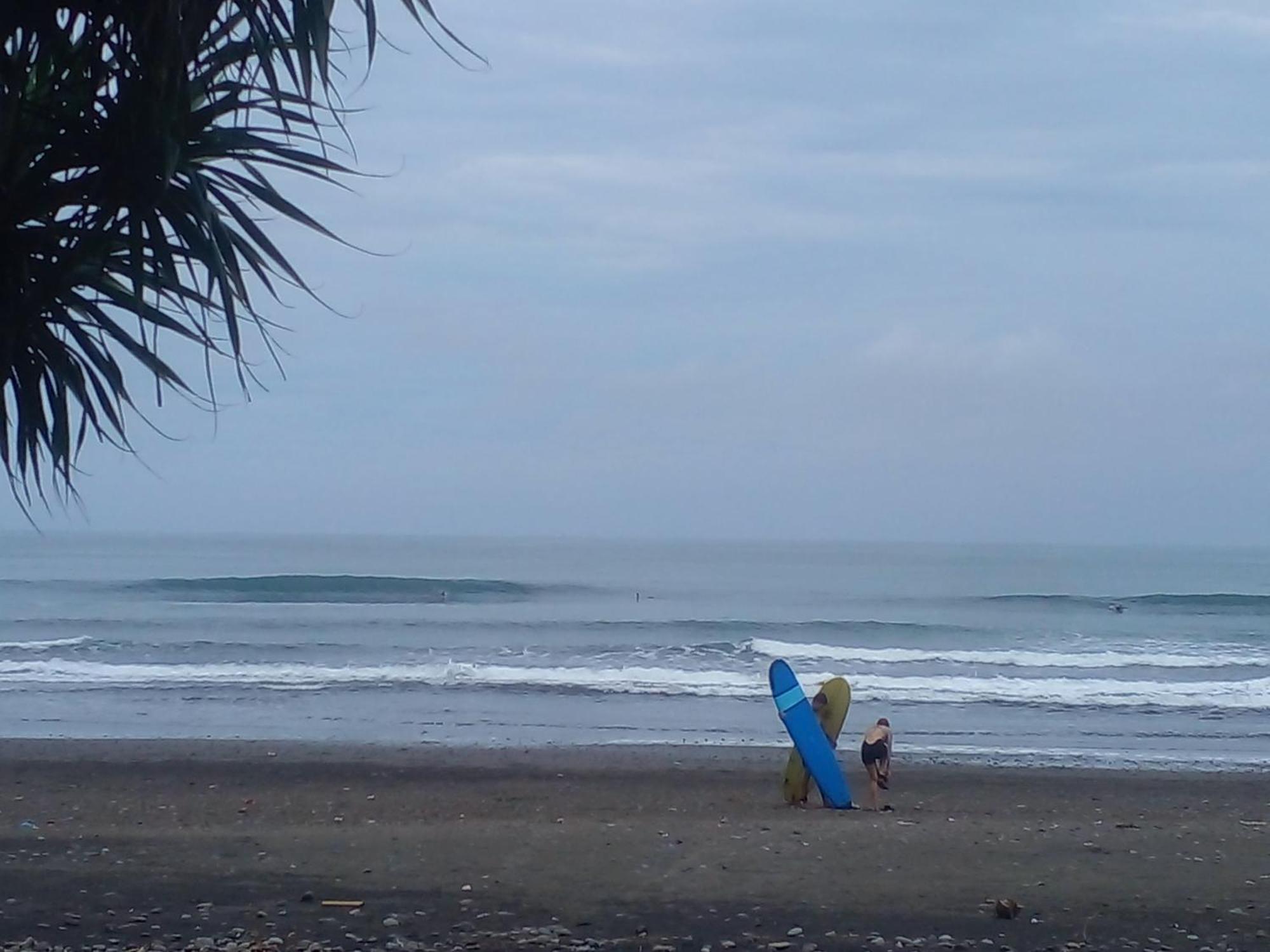 Medewi Good Vibes Stay&Surf Jembrana  Экстерьер фото